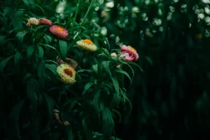 April Gardening: What to Plant Now for Spring Success