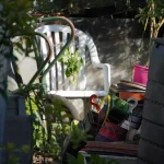 April’s Best Defense: Mulching Your Garden for Spring Success