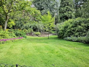 Common Garden Design Mistakes That Make Your Outdoor Space Feel Cramped and Cluttered