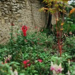 Common Mistakes When Installing Garden Trellises That Kill Your Climbing Plants