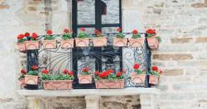 Container Gardening for Beginners: The Complete Guide