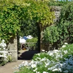 Essential Tools and Materials for DIY Garden Structure Projects