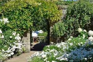 Essential Tools and Materials for DIY Garden Structure Projects