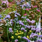 Garden Decor: Creative Ideas for Adding Personality to Your Garden