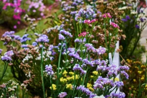 Garden Decor: Creative Ideas for Adding Personality to Your Garden
