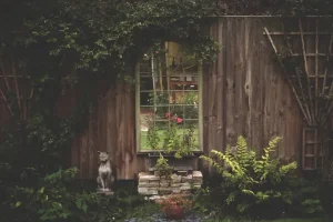 Garden Design Principles: How to Create a Garden that Works for You