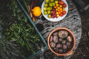 Garden Safety: How to Stay Safe While Gardening
