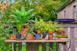 Garden Structures: How to Build Garden Arbors, Trellises, and More