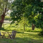 Growing Herbs for Medicine: How to Grow and Use Medicinal Herbs