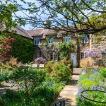 How to Choose the Right Plants for Your Garden’s Light Conditions: A Beginner’s Guide