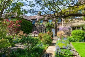 How to Choose the Right Plants for Your Garden’s Light Conditions: A Beginner’s Guide