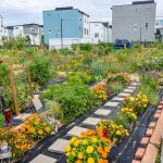 How to Measure and Map Your Garden Space for Better Planning