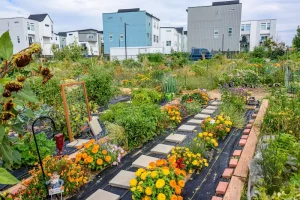 How to Measure and Map Your Garden Space for Better Planning