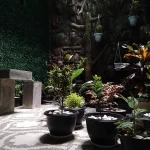Identifying and Safely Handling Common Poisonous Plants in Your Garden