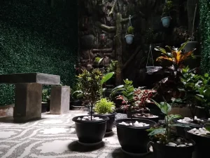 Identifying and Safely Handling Common Poisonous Plants in Your Garden