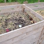 Organic Gardening for Beginners: A Complete Guide