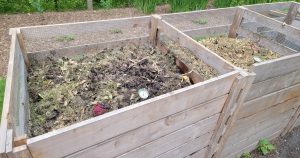 Organic Gardening for Beginners: A Complete Guide