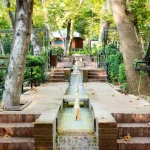 Organic Pest Control: Natural Ways to Protect Your Garden