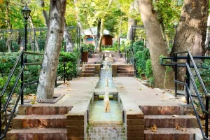 Organic Pest Control: Natural Ways to Protect Your Garden