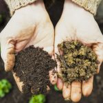 Soil Composting for Beginners: The Complete Guide