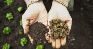 Soil Composting for Beginners: The Complete Guide