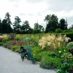 Toughen Up: Hardening Off Your Seedlings This April