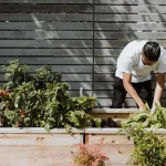 Container Gardening in May: Grow More in Small Spaces