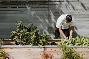 Container Gardening in May: Grow More in Small Spaces