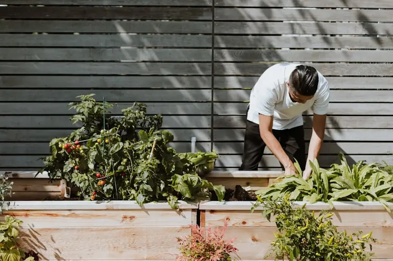 Container Gardening in May: Grow More in Small Spaces