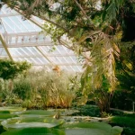 Garden Tools: The Essential Tools You Need for a Successful Garden