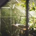 Growing Herbs in Containers: Tips for a Beautiful and Productive Herb Garden