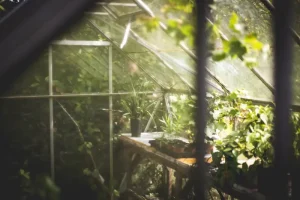 Growing Herbs in Containers: Tips for a Beautiful and Productive Herb Garden