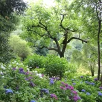 How to Clean and Maintain Your Garden Tools to Make Them Last a Lifetime