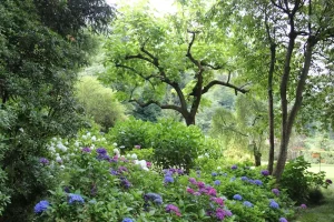 How to Clean and Maintain Your Garden Tools to Make Them Last a Lifetime