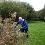 Support Your Growing Garden: Staking and Trellising in May