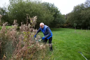 Support Your Growing Garden: Staking and Trellising in May