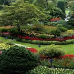 Transplanting Success: May Tips for Stronger Plants