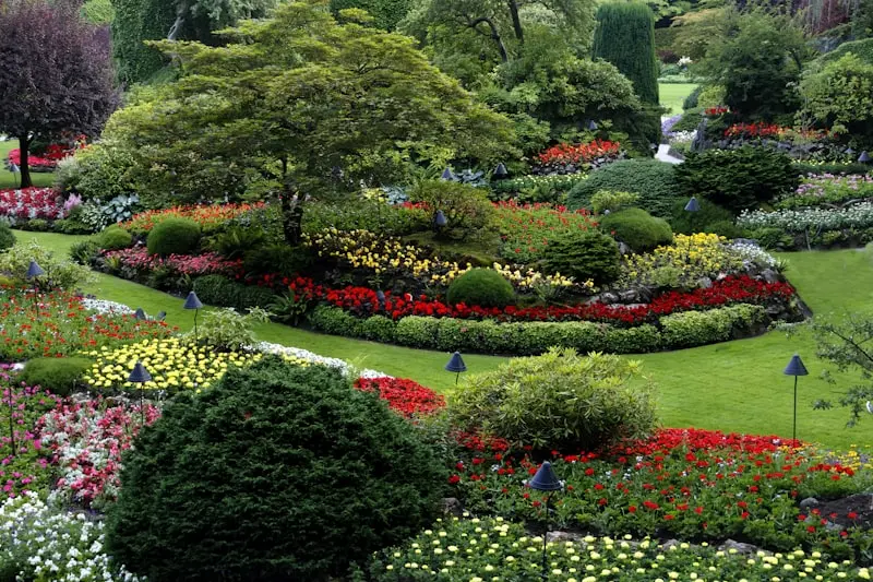 Transplanting Success: May Tips for Stronger Plants