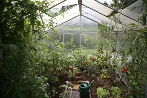 10 Essential Herbs Every Home Cook Should Grow on a Windowsill
