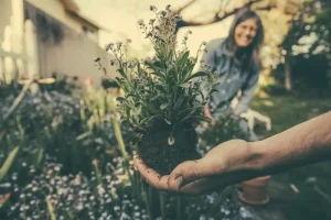 Beat the Heat: Essential June Care for Thriving Plants