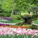 Beginner’s Guide to Mapping Out a Simple 4-Bed Crop Rotation Plan