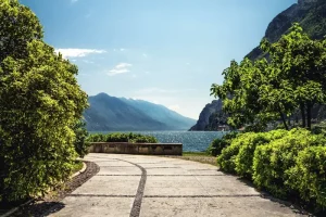 Garden Pathways: Creative Ideas for Adding Paths to Your Garden