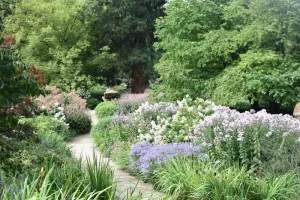 How to Lay a Simple Stepping Stone Path in a Weekend