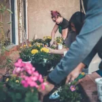 What to Plant in June for a Fall Harvest