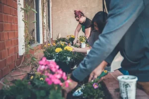 What to Plant in June for a Fall Harvest