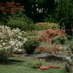 Feeding Your July Garden: Essential Nutrients for Peak Summer Growth