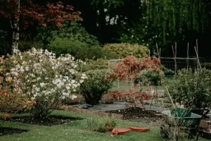 Feeding Your July Garden: Essential Nutrients for Peak Summer Growth