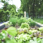 Why Your Pollinator Garden Is Failing: The Pesticide Mistake Most Gardeners Don’t Realize They’re Making