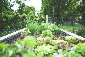 Why Your Pollinator Garden Is Failing: The Pesticide Mistake Most Gardeners Don’t Realize They’re Making