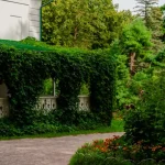 Garden Planning for Fall: Tips for Planning and Preparing Your Garden in Summer